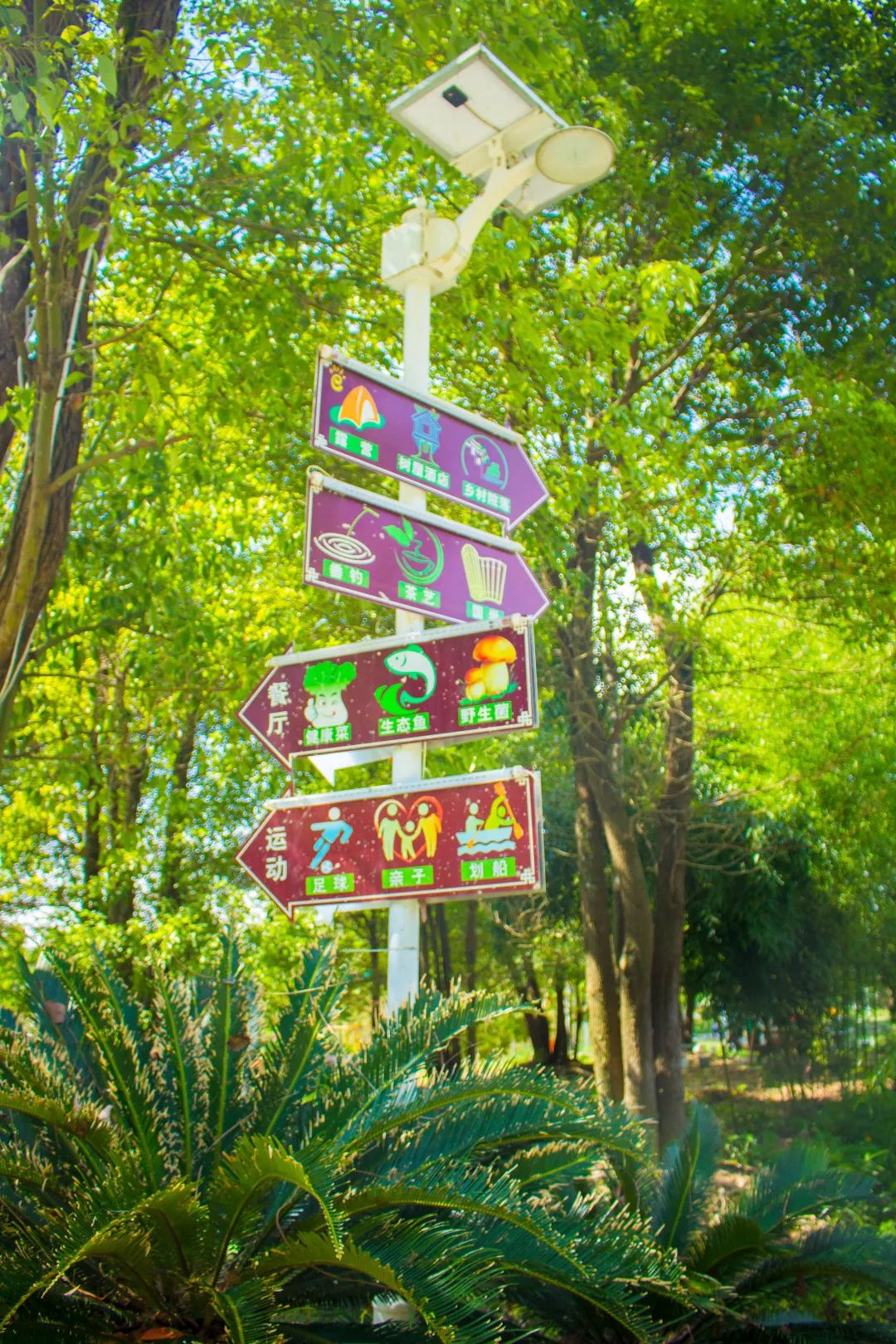 5条乡村游路线等你来打卡,国庆节乡村旅游打卡