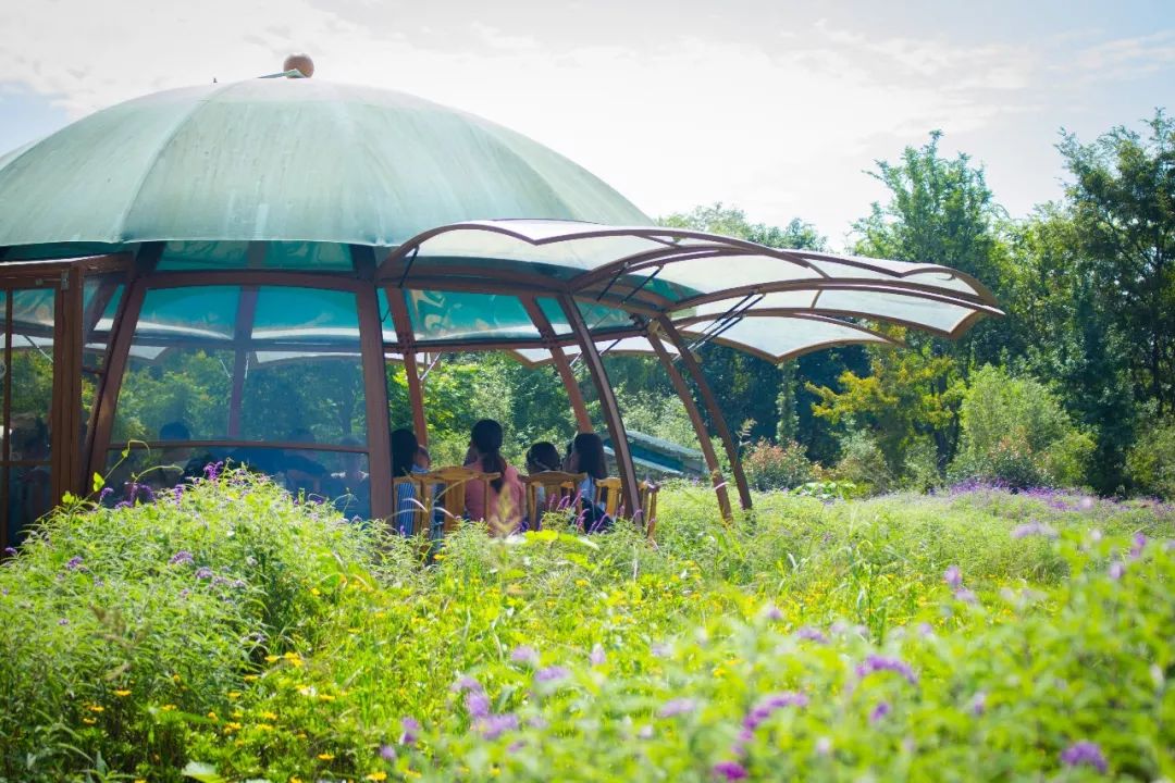 5条乡村游路线等你来打卡,国庆节乡村旅游打卡