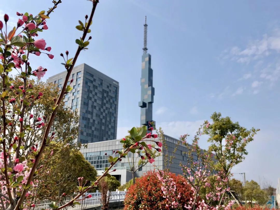 坐着地铁看浦东｜美到惊艳！童话乐园、古镇园林、跑酷金字塔……这条地铁线都能到，还能跨省游