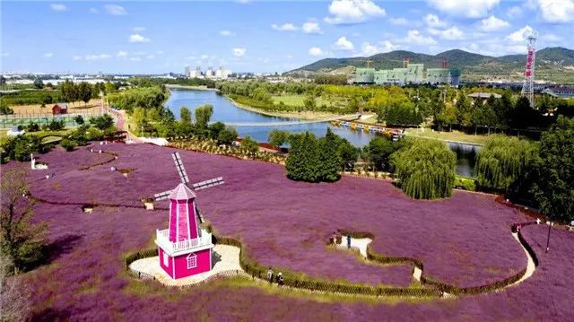 「双节乐游」假期里的新去处！送你一份威海“口袋公园”免费游攻略