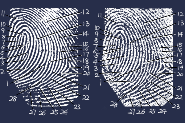 指尖指纹锁,电子锁指纹识别方法