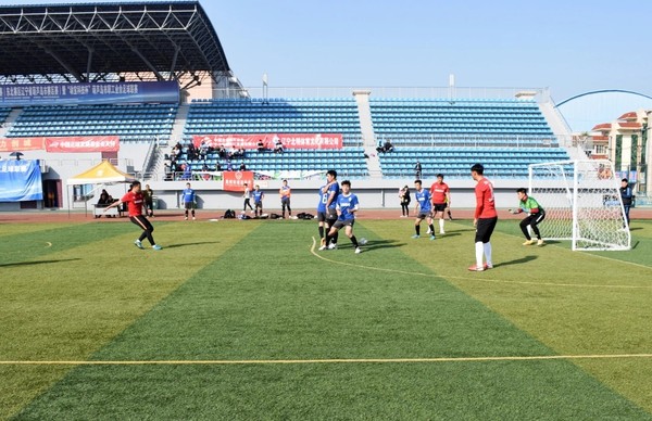 辽宁盖州太阳升,牛气冲天获奖视频