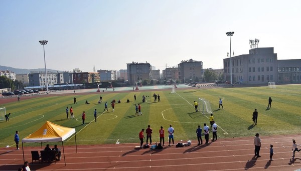 辽宁盖州太阳升,牛气冲天获奖视频