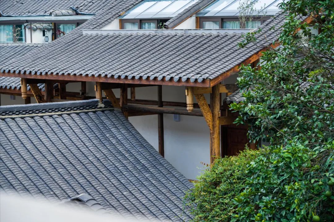 在成都发现一家宝藏酒店,成都市区宝藏酒店