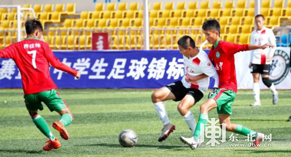 黑龙江省足协青少年锦标赛,黑龙江2024年青少年足球锦标赛