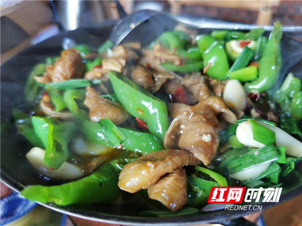 素素吃点啥,素素这周吃了啥