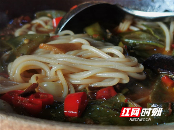 素素吃点啥,素素这周吃了啥