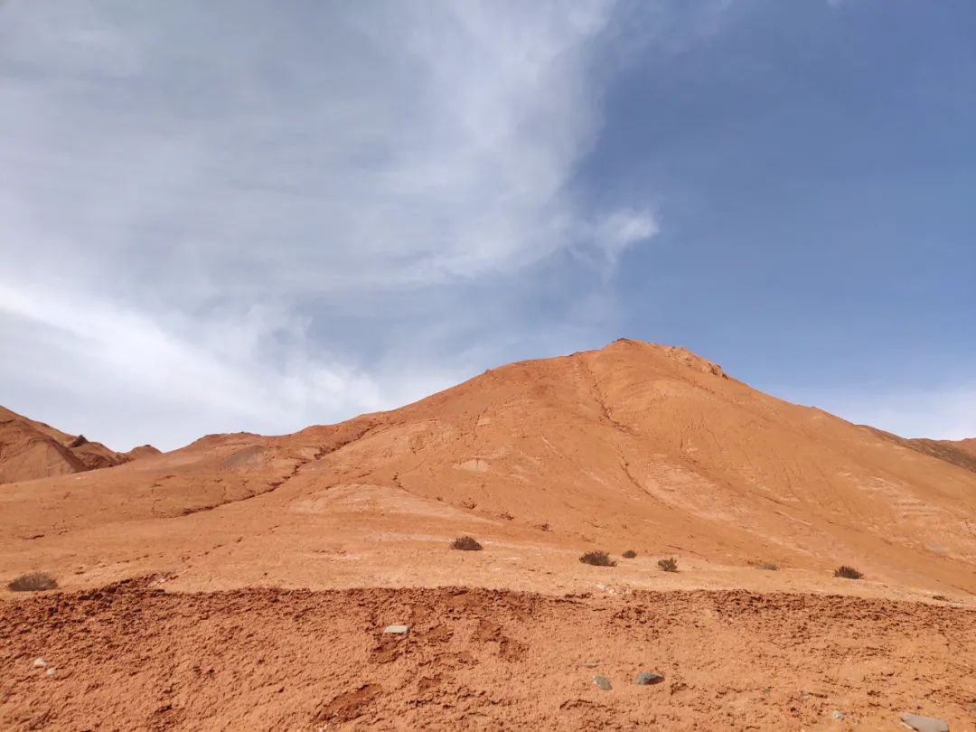非法野生动物判刑数罪并罚,非法经营野生动物案处决