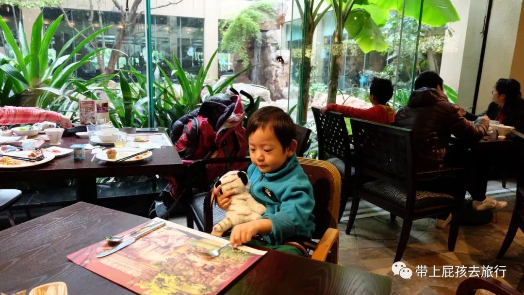 长隆选哪个酒店,广州长隆怎么选酒店