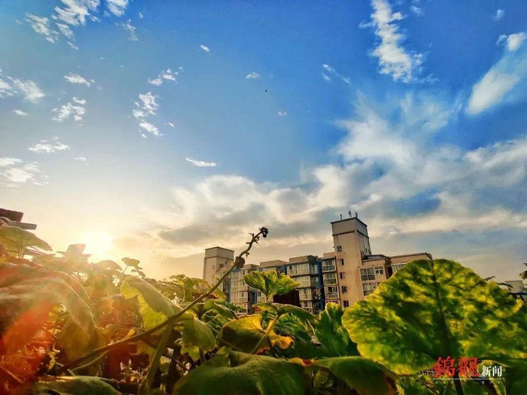 成都双流晚上适合拍照打卡的地方,成都周末打卡推荐双流