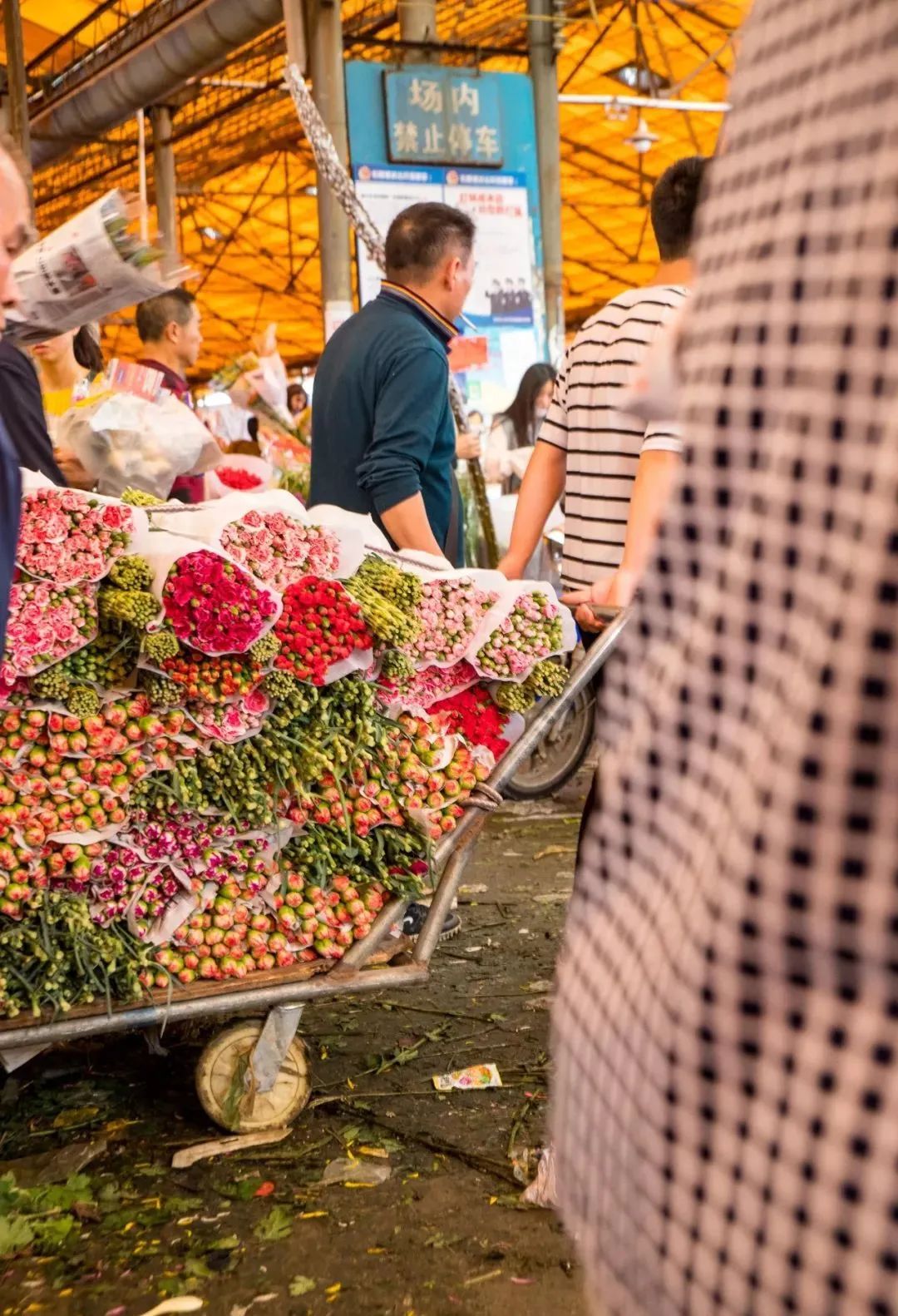 昆明春城秀图片,昆明正宗春城秀