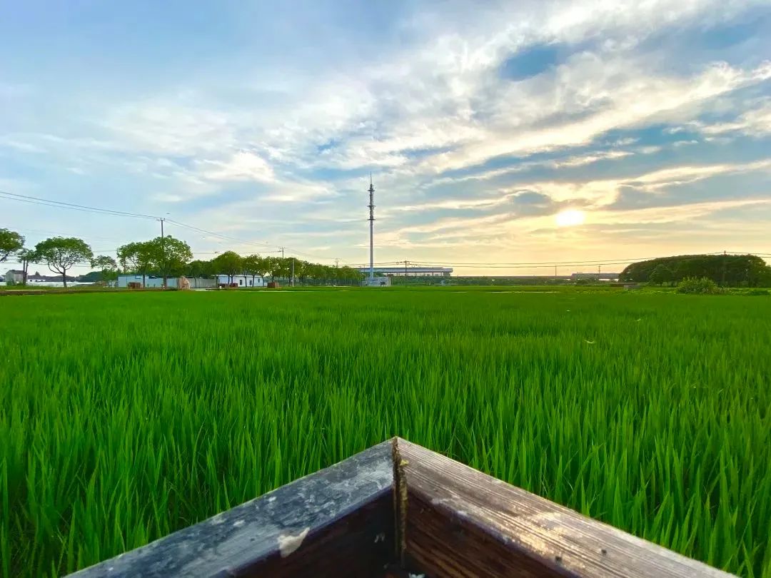 特斯拉速度变快,特斯拉速度上海