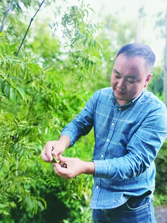 岳西创业政策,适合岳西人创业的项目