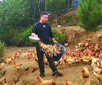 岳西创业政策,适合岳西人创业的项目