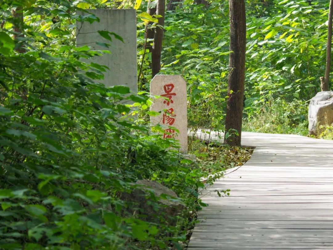 节气的故乡、远古的传说、水浒的侠义、美食的江湖，没想到你竟是这样的阳谷！