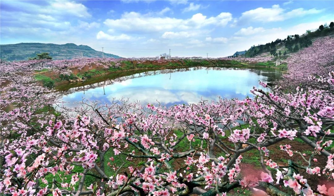 成都1100个公园俯瞰,成都100个公园规划图