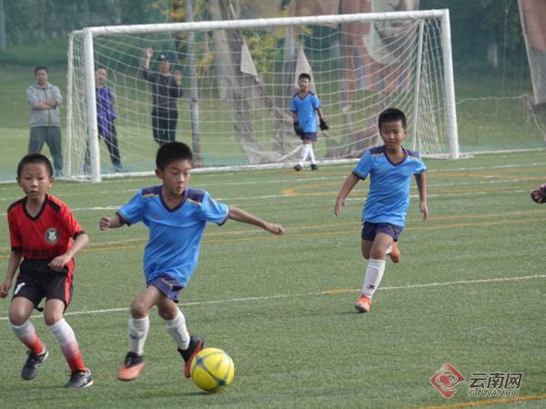 云南青训免费在线观看,云南青训中心比赛