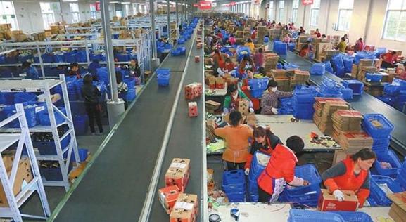 武功县发展特色产业,武功县什么产业好