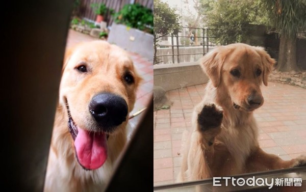 挖耳朵太舒服! 阿金爽到「嘴边肉失守」...努力忍住不笑出来