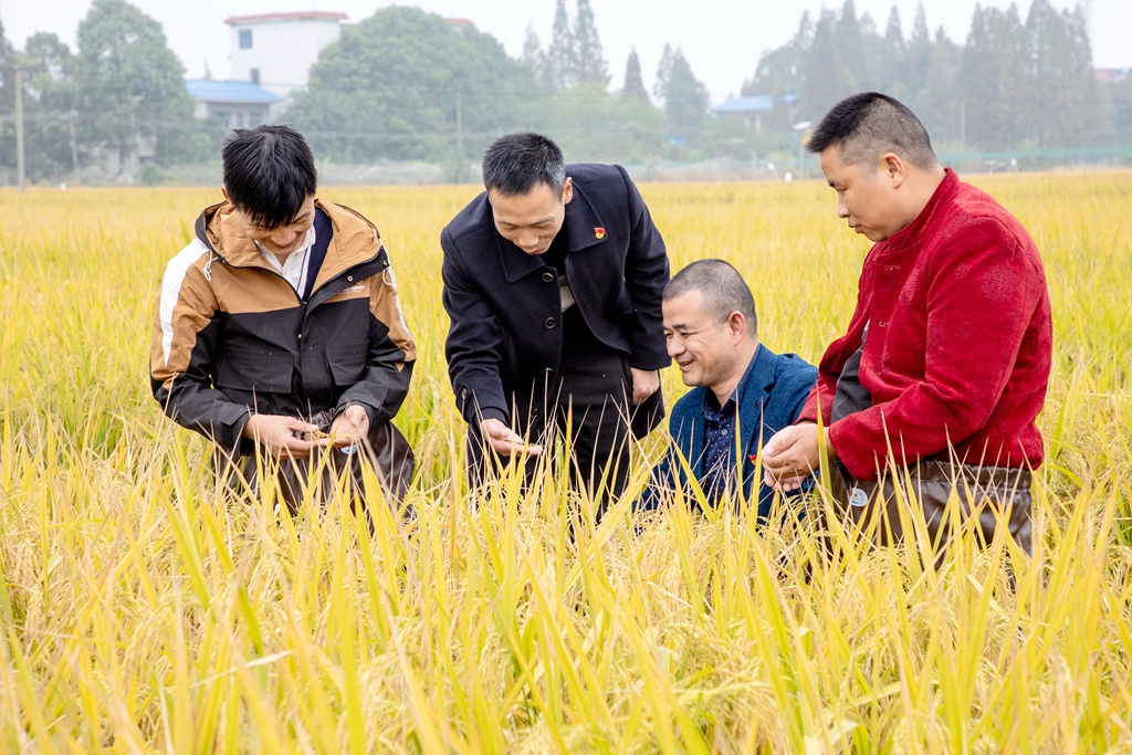 「清风镜头」国家扶贫日
