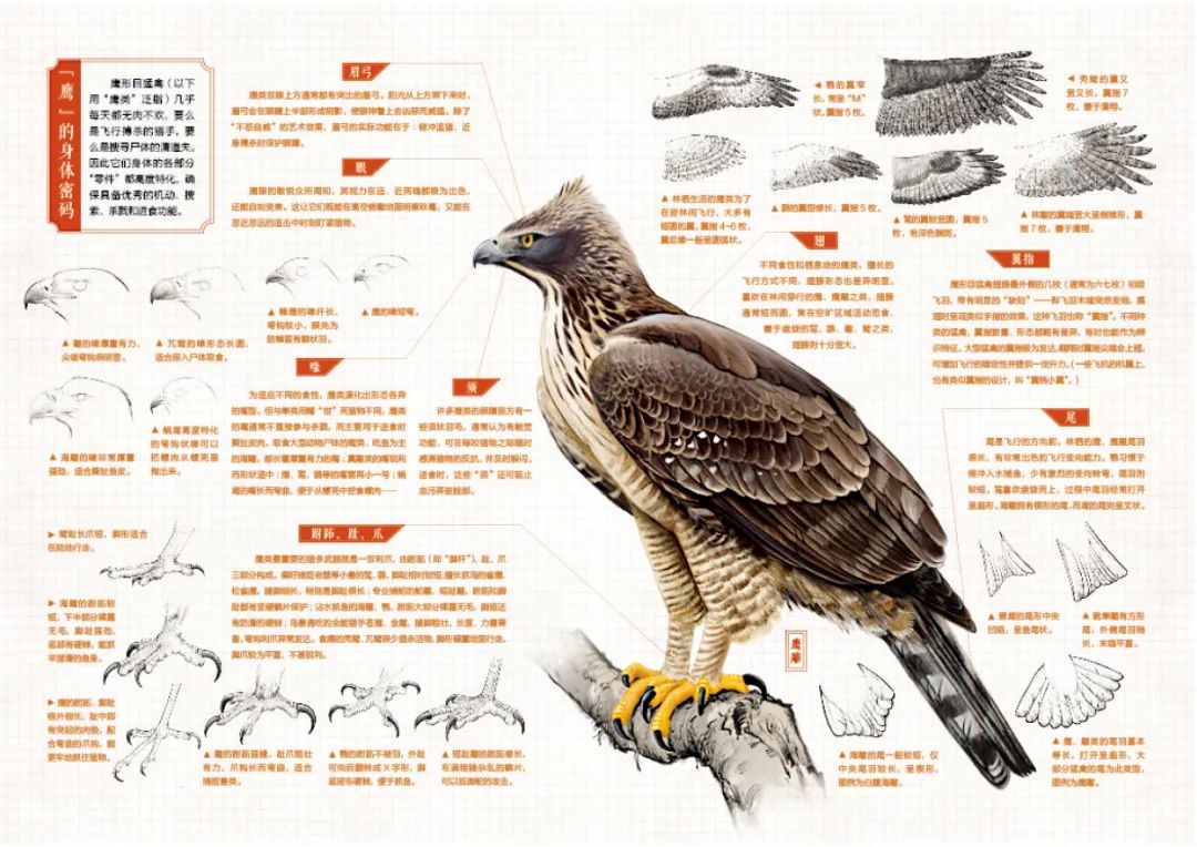 中国国家地理摄影展,中国的国家地理