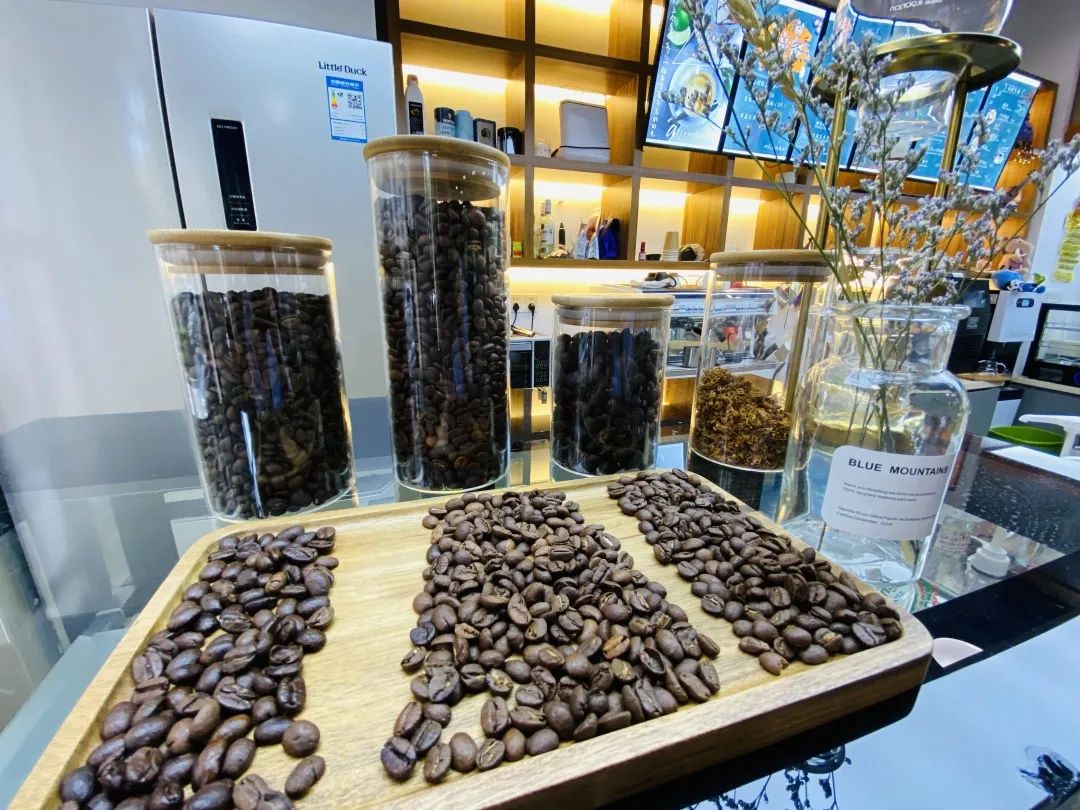 闵行虹桥镇生活日记,上海闵行区生活日记