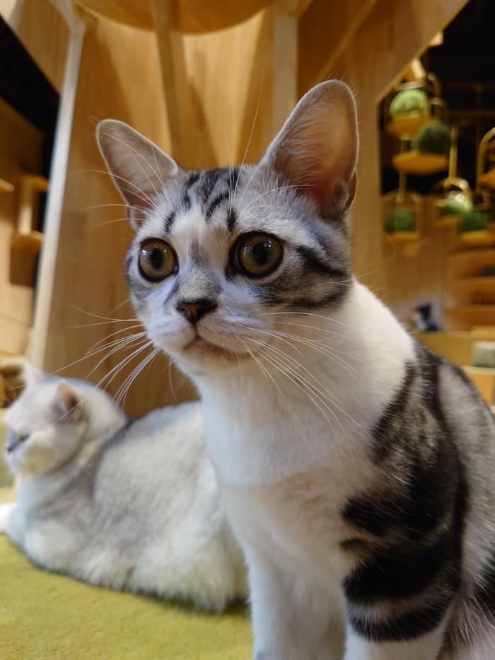 性能拉满电脑,性能拉满软件