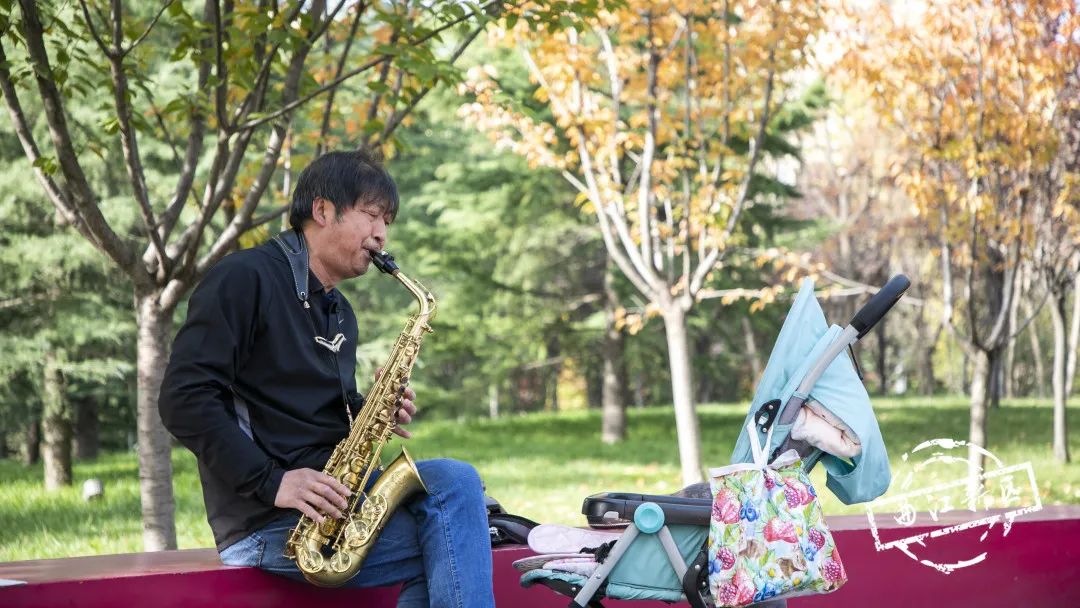 曲江秋天风景,曲江的秋色