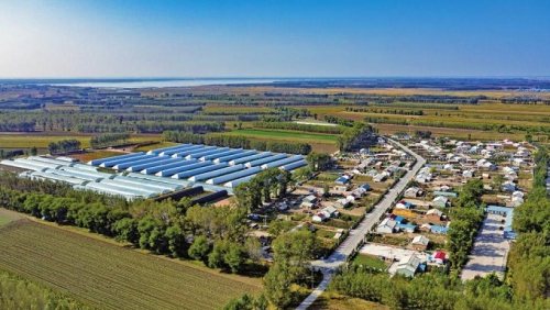 白城市脱贫攻坚,白城奋力拼搏