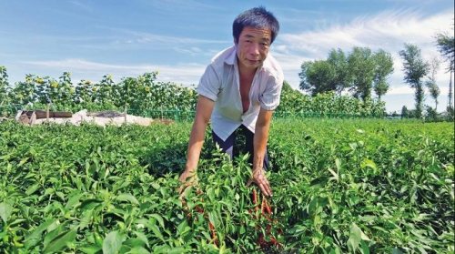 白城市脱贫攻坚,白城奋力拼搏