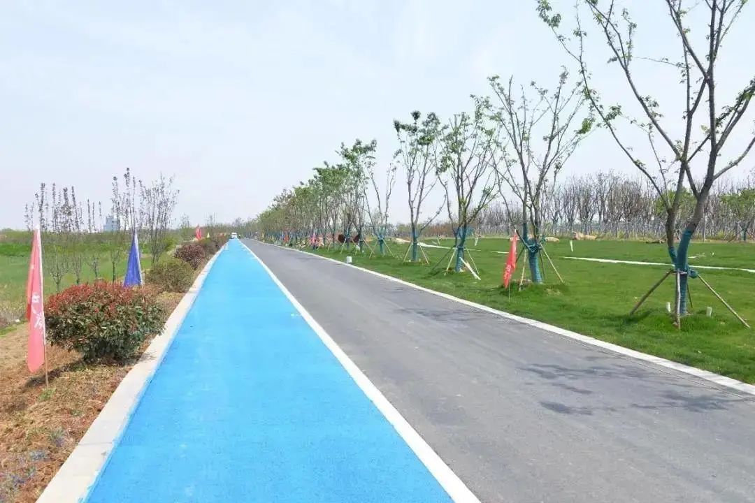 深秋散步好去处，一起动起来！