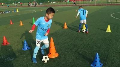 新河镇有什么活动,新河嘉年华