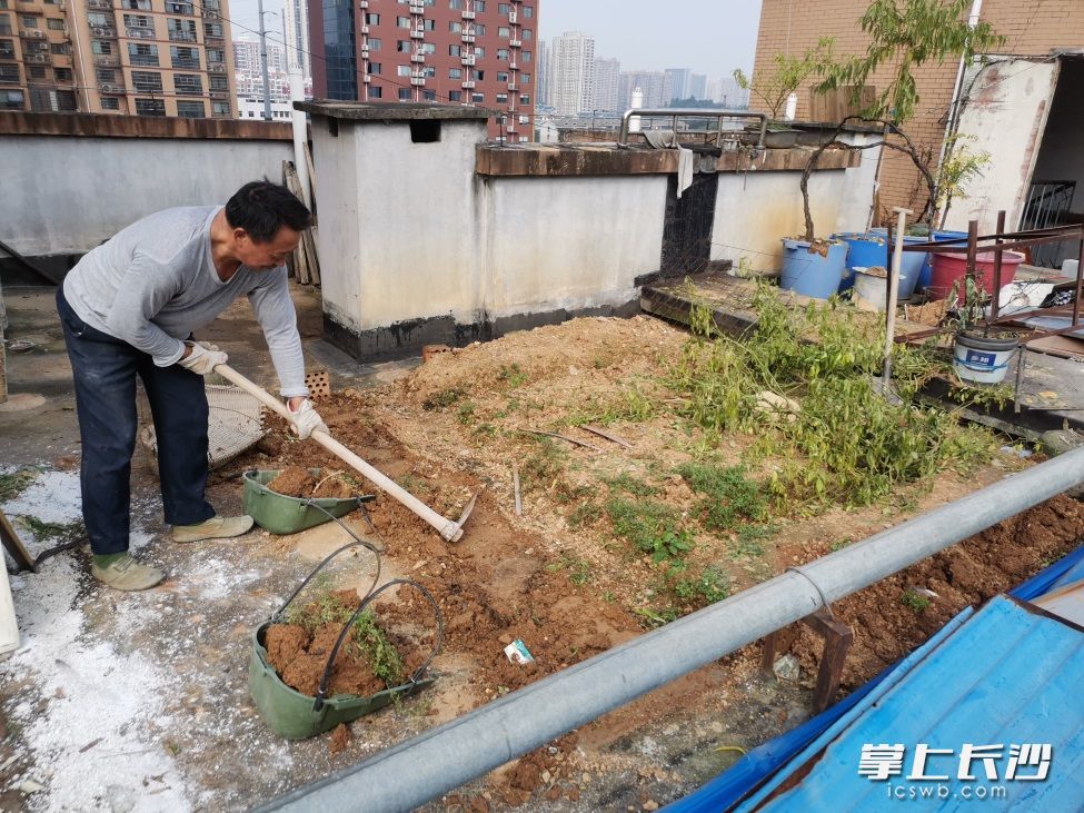 楼顶农场免费承包,楼顶微型农场设计