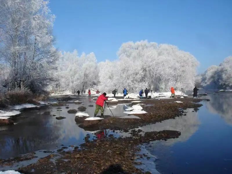 welcometo东北现场,伊春旅游直播间