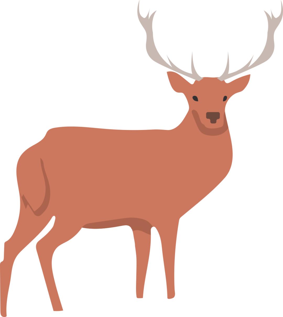 welcometo东北现场,伊春旅游直播间