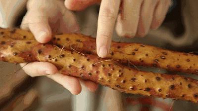 山药去皮一根筷子就能搞定,手不粘也不痒,简单又快