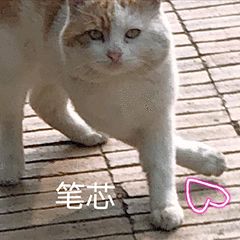 “天猫”来了？天大的猫猫们有自己的表情包啦！点击*载下**