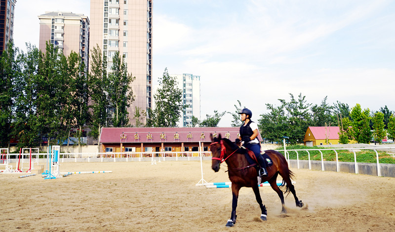 山东畜牧兽医职业学院对接本科,山东畜牧兽医职业学院五年制