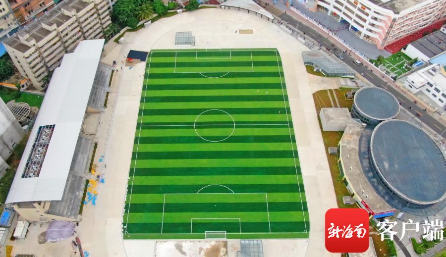 海口世纪公园体育场照片,海口市椰树门