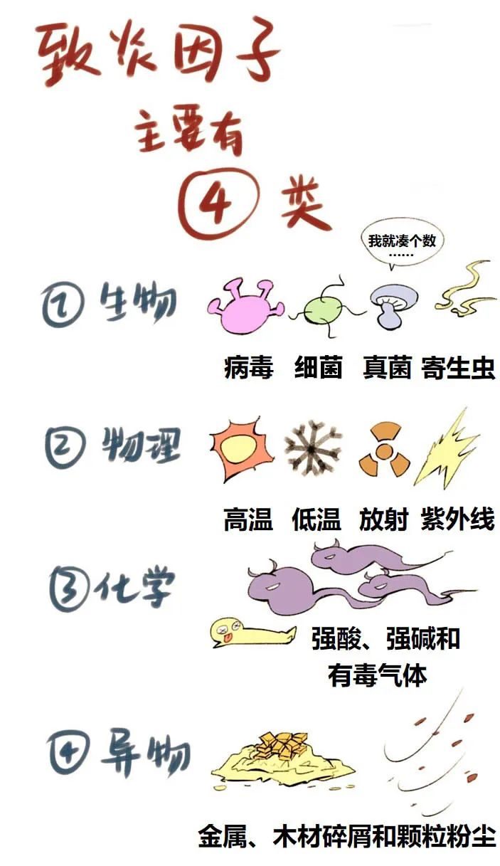 鲁威渔医号丨肺“肿了”怎么办？