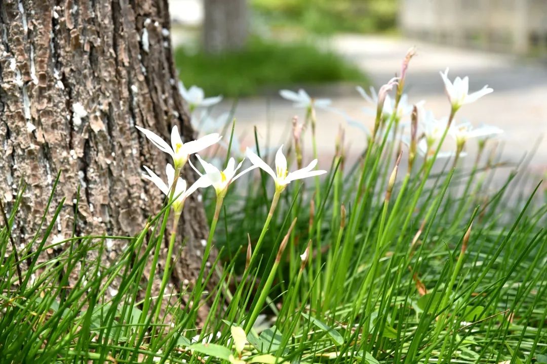 来吧！带你畅游这诗意工贸|文末有重磅福利
