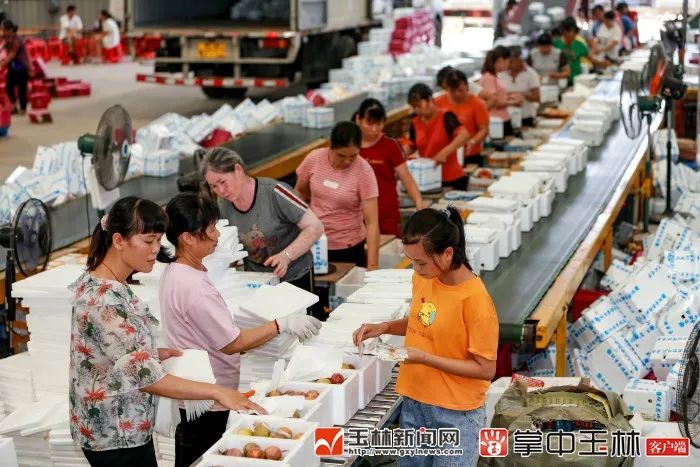 双11电商营收,双11三大电商销售额排名