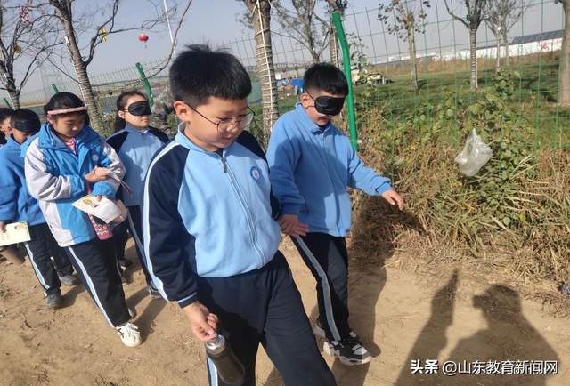 山东省小学综合实践活动培训,小学综合实践活动课堂