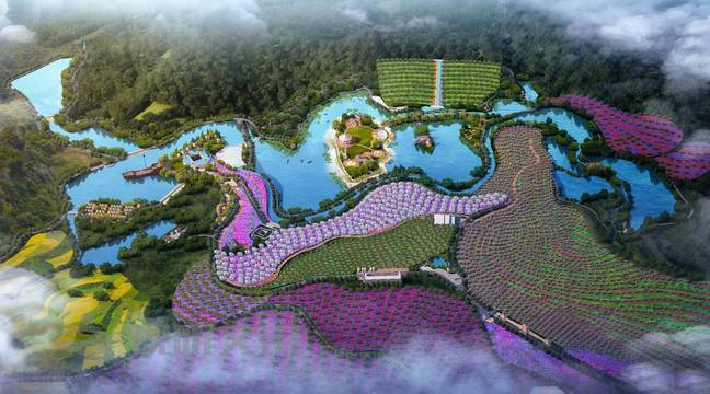 弘扬新时代西畴精神｜颜玉锐：走出大山又回到大山的致富带头人