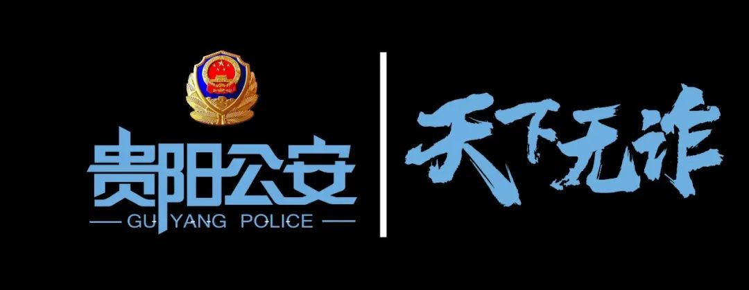 天下无诈抓捕诈骗犯,天下无诈贵州警方抓人片段