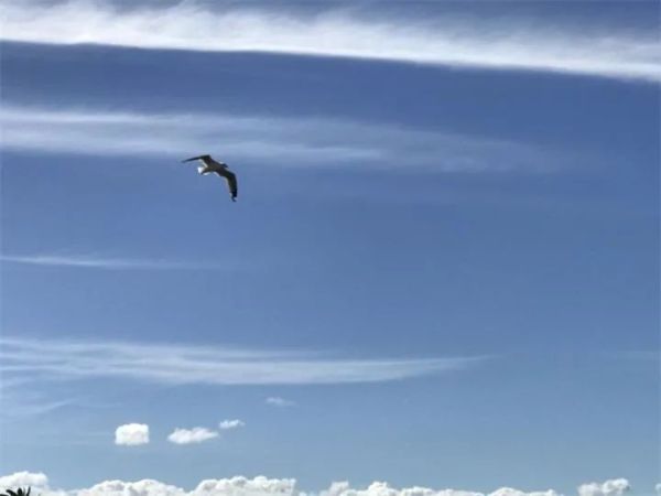 代购行业饱和了吗,代购行业消失的原因