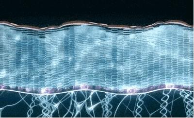 火遍全网的生发养发防脱固发,去屑止痒防脱养发