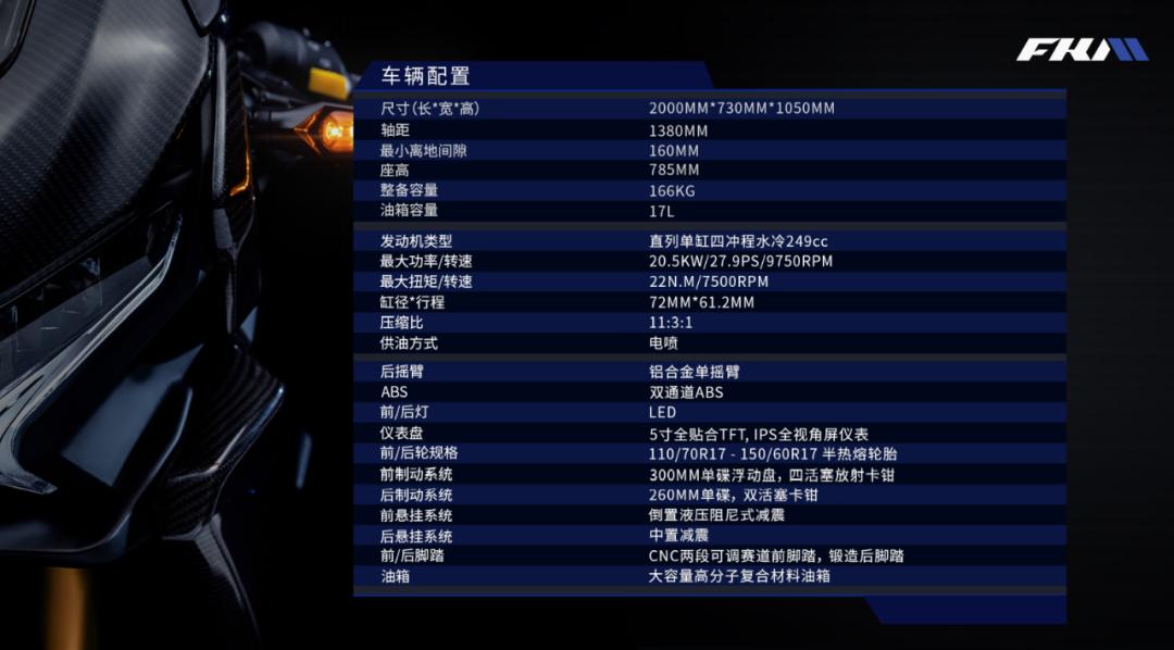 最便宜的双缸250仿赛,250双缸仿赛单摇臂