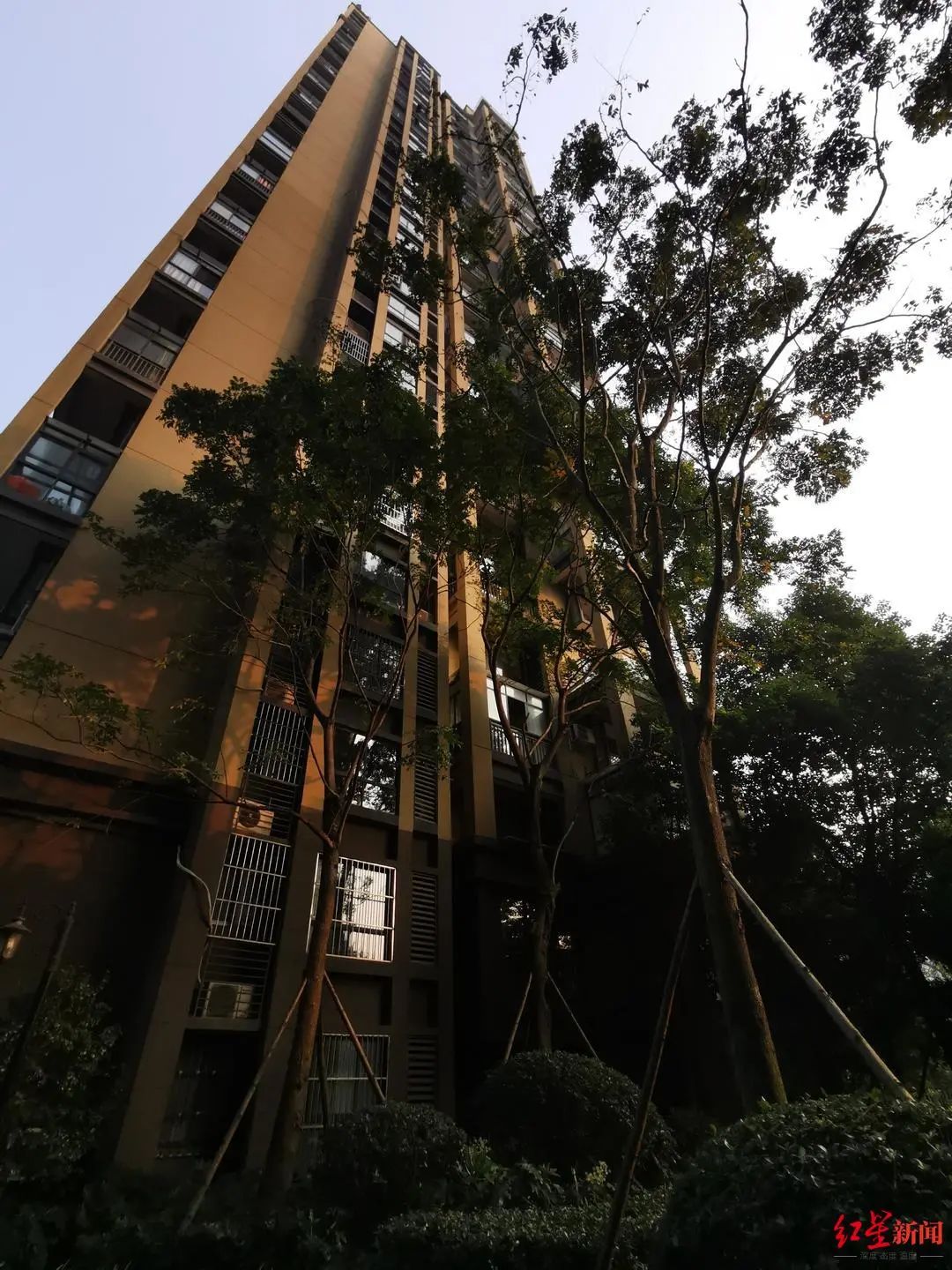 成都一小区内天降乌龟，路过女子被砸得头破血流