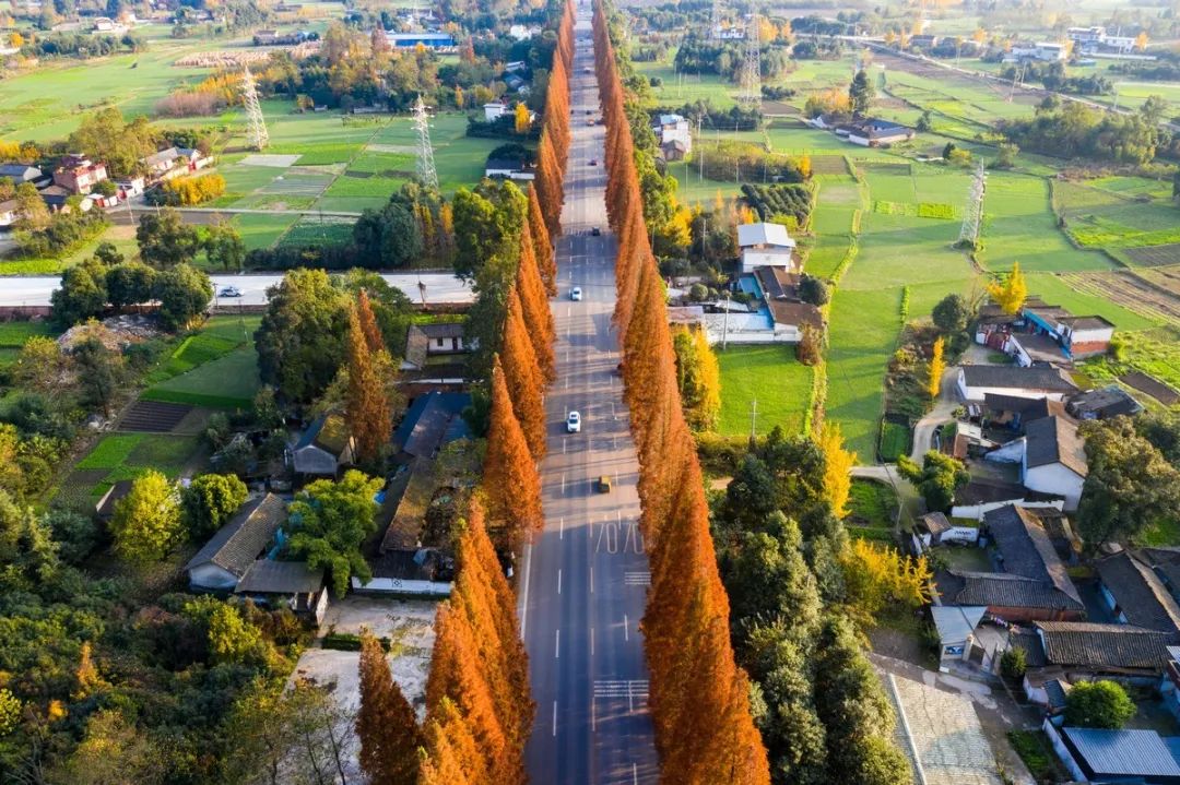 鑸媿褰窞鍏ㄦ櫙瑙嗛,鍑犱綍鑸媿